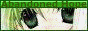 Banner Abandoned Hope